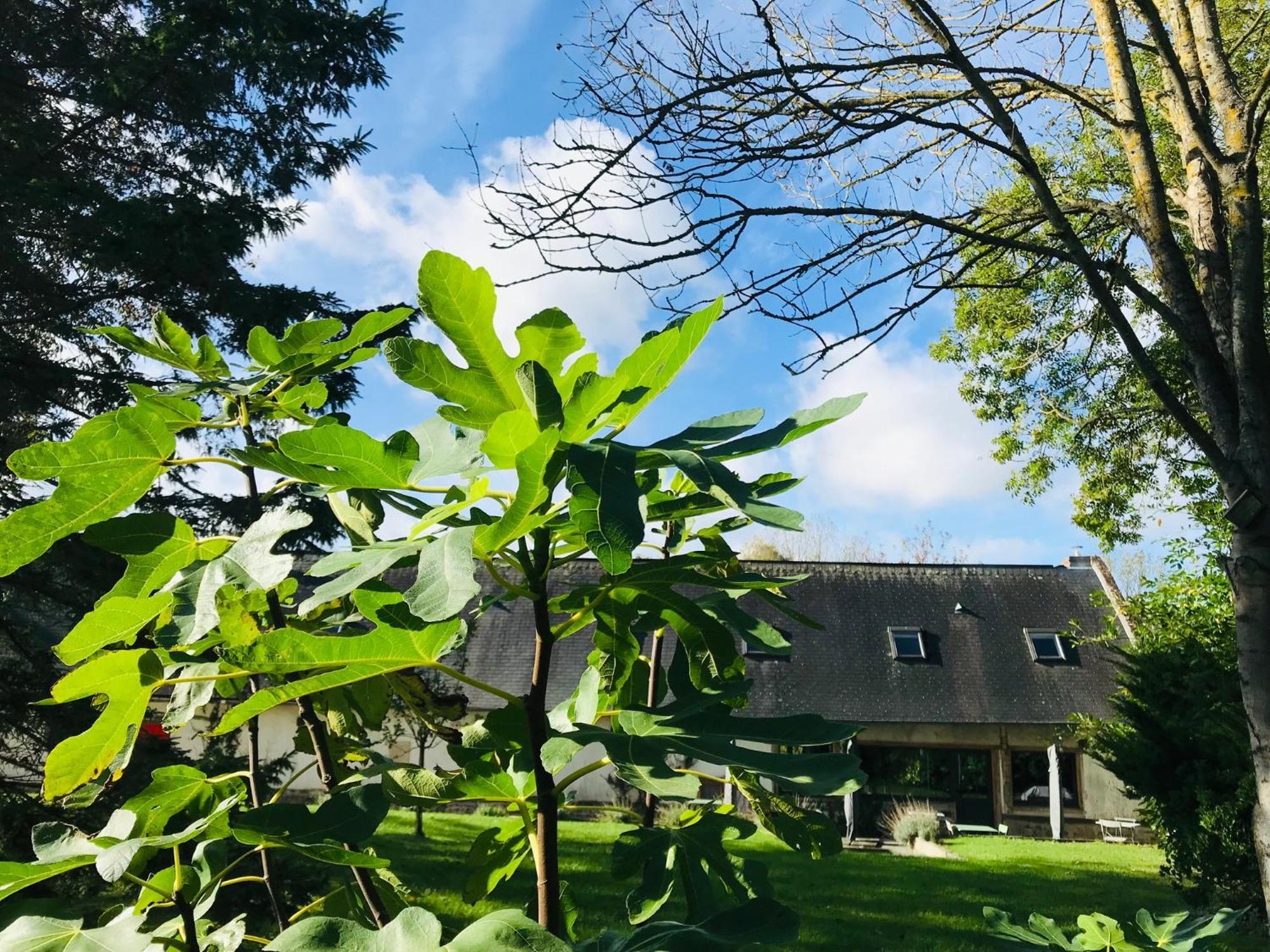 Rouge Cottage Gite 4 Etoiles Billard Gueutteville-les-Gres Bagian luar foto