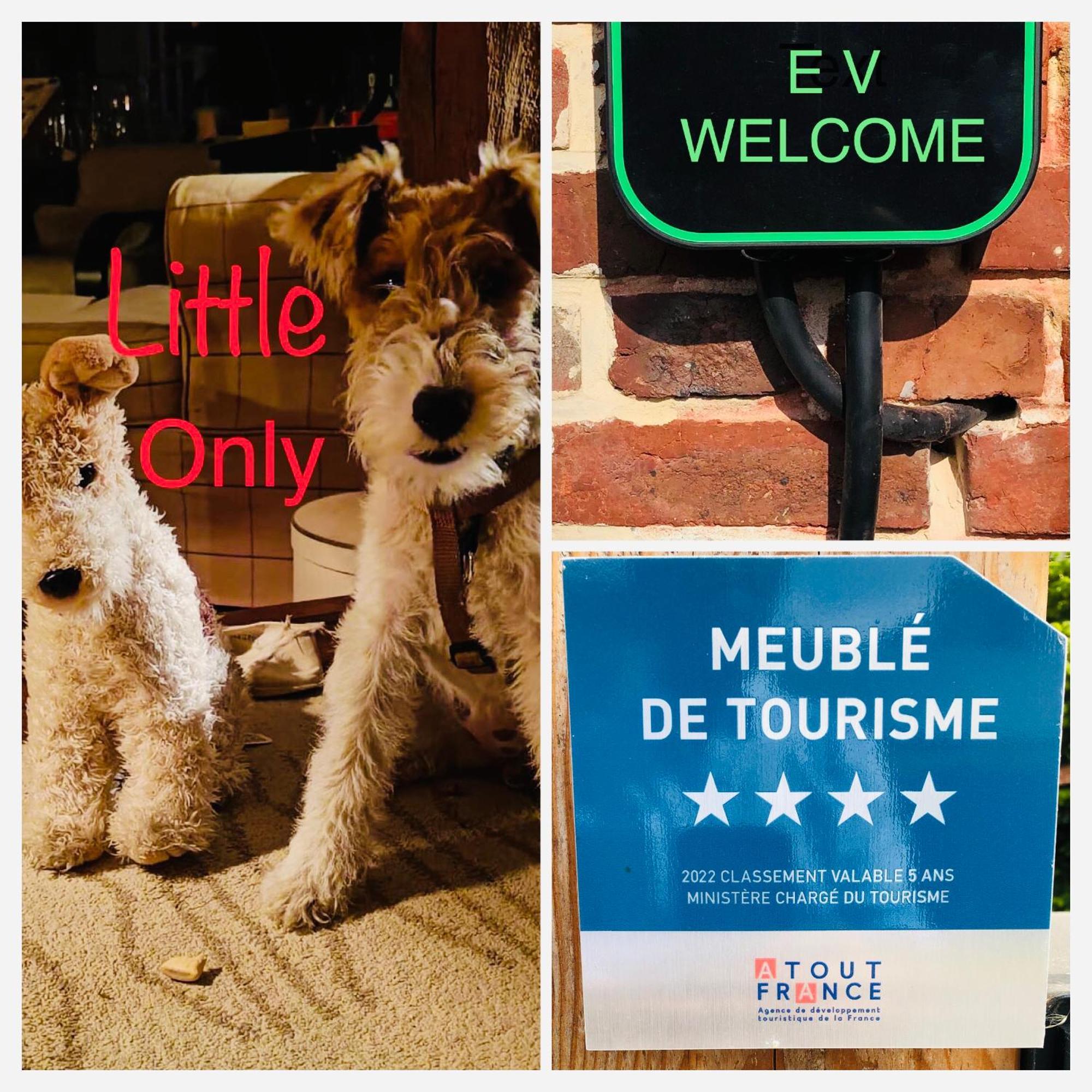 Rouge Cottage Gite 4 Etoiles Billard Gueutteville-les-Gres Bagian luar foto